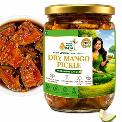 Organic Farms India Dry Mango Pickle packaging design by We Designs